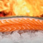 salmon